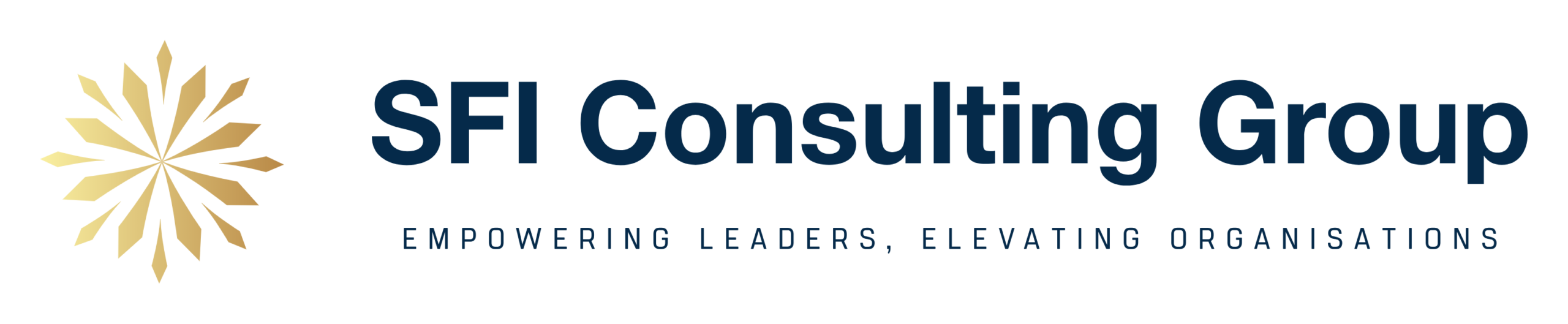 Stefano Fichera – SFI Consulting Group