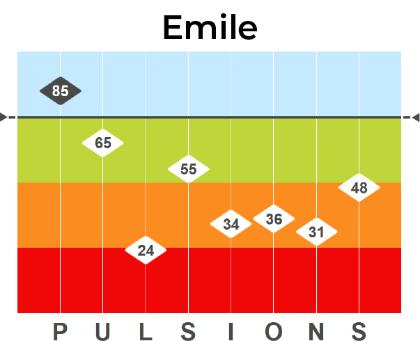 Profil PULSIONS Emile